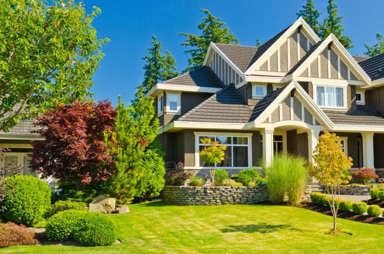 Yard Maintenance Service