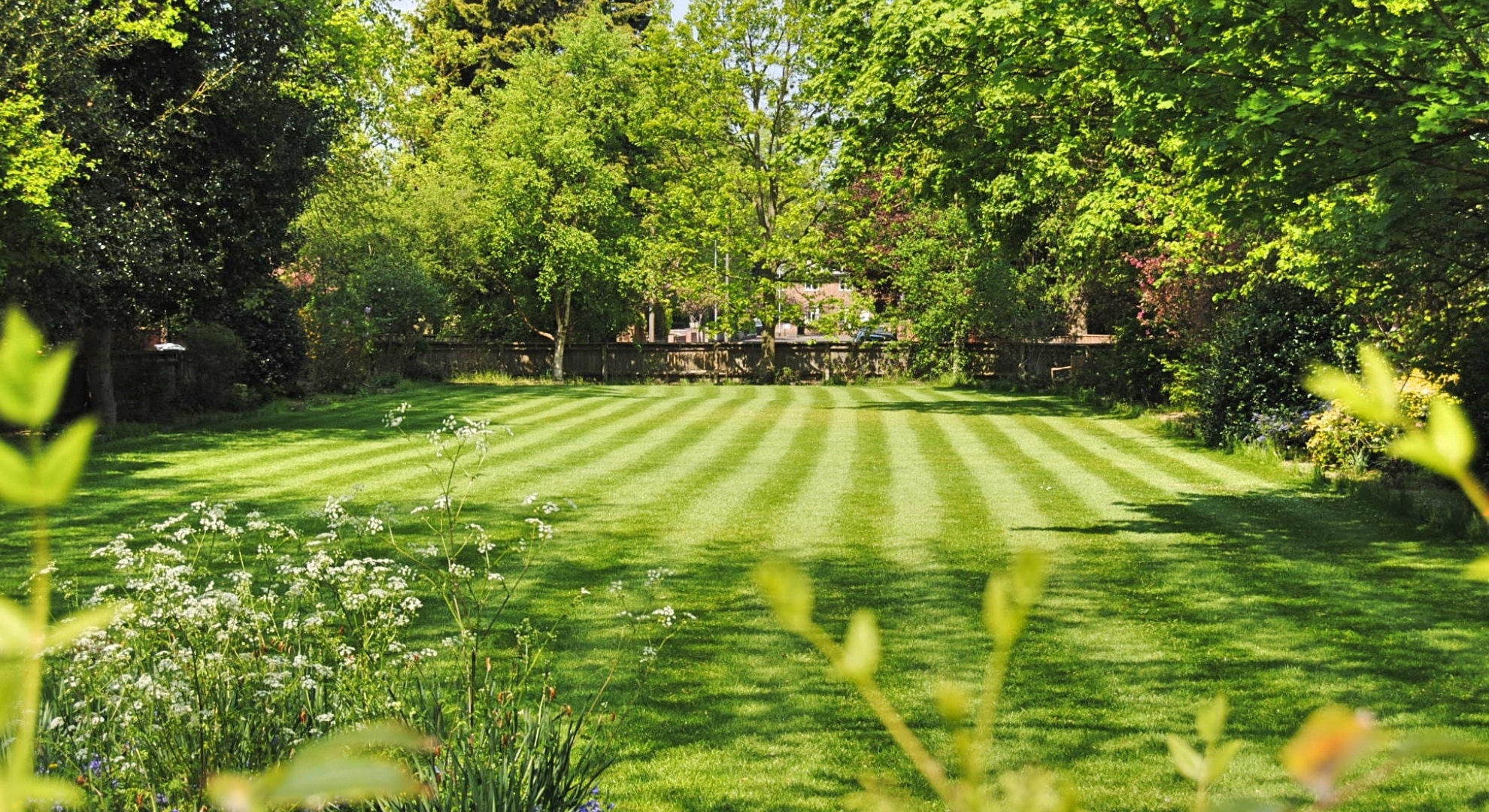 Commercial lawn mowing services