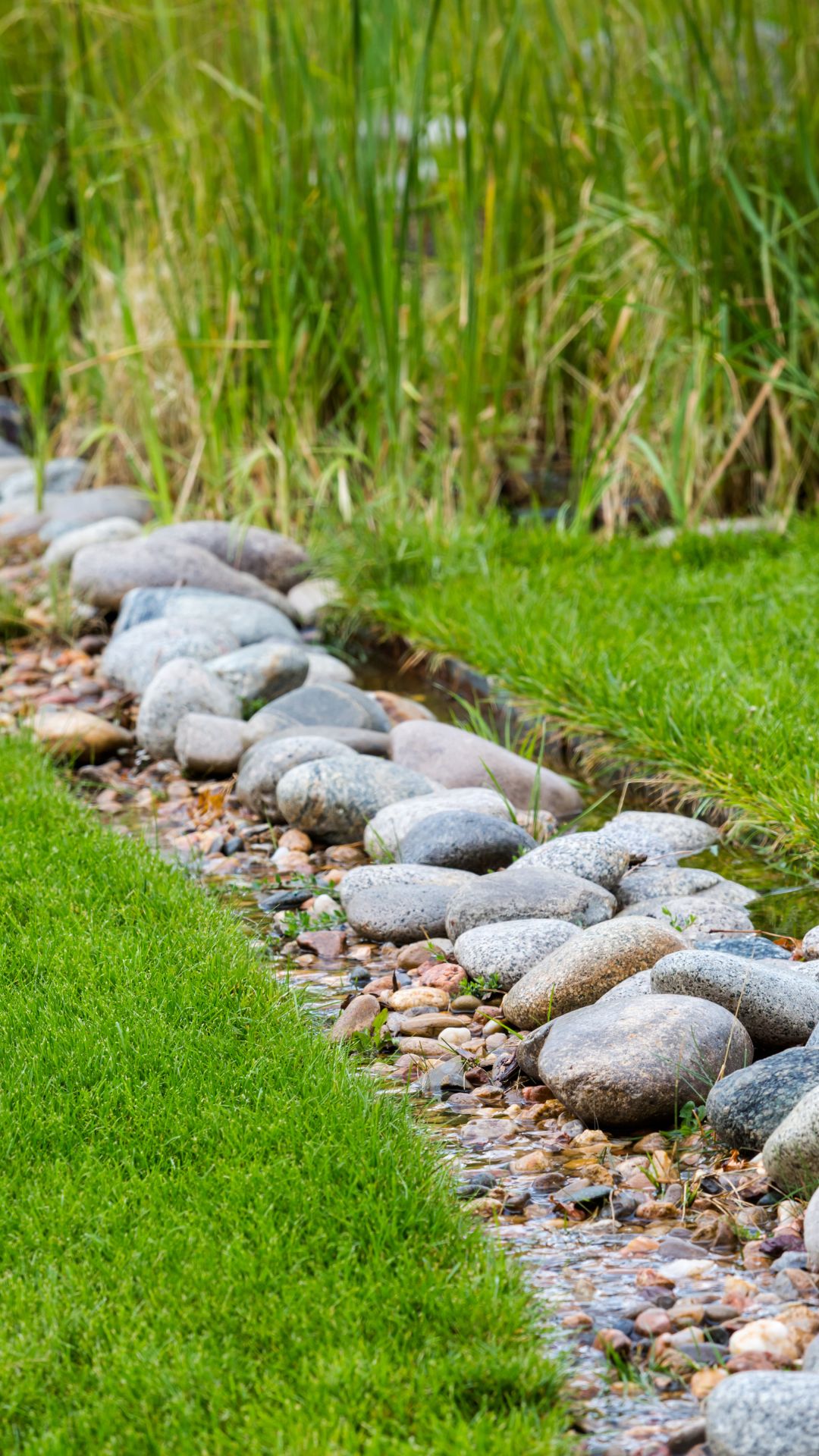 Yard drainage solutions in Charlotte NC with a rock-lined drainage swale running between green lawn edges.